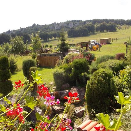 Apartament Penzion Ranch Fah Spišské Podhradie Zewnętrze zdjęcie