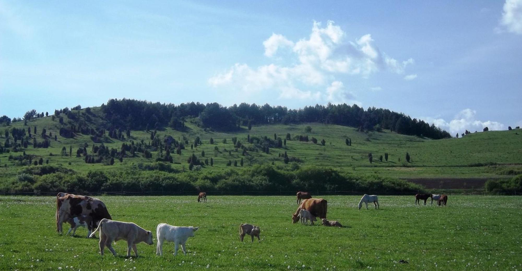 Apartament Penzion Ranch Fah Spišské Podhradie Zewnętrze zdjęcie